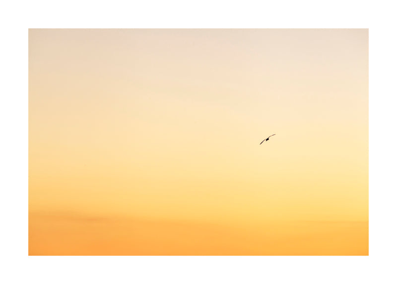 Sunset Beach 0354
