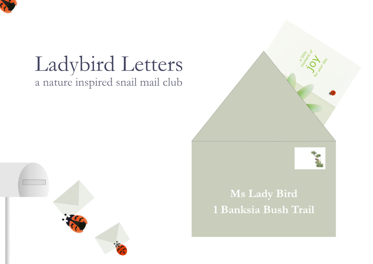 Ladybird Letters Snail Mail Club