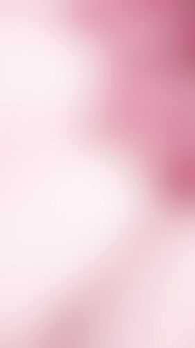 Digital Wallpaper Gerbera Pink 2412 1